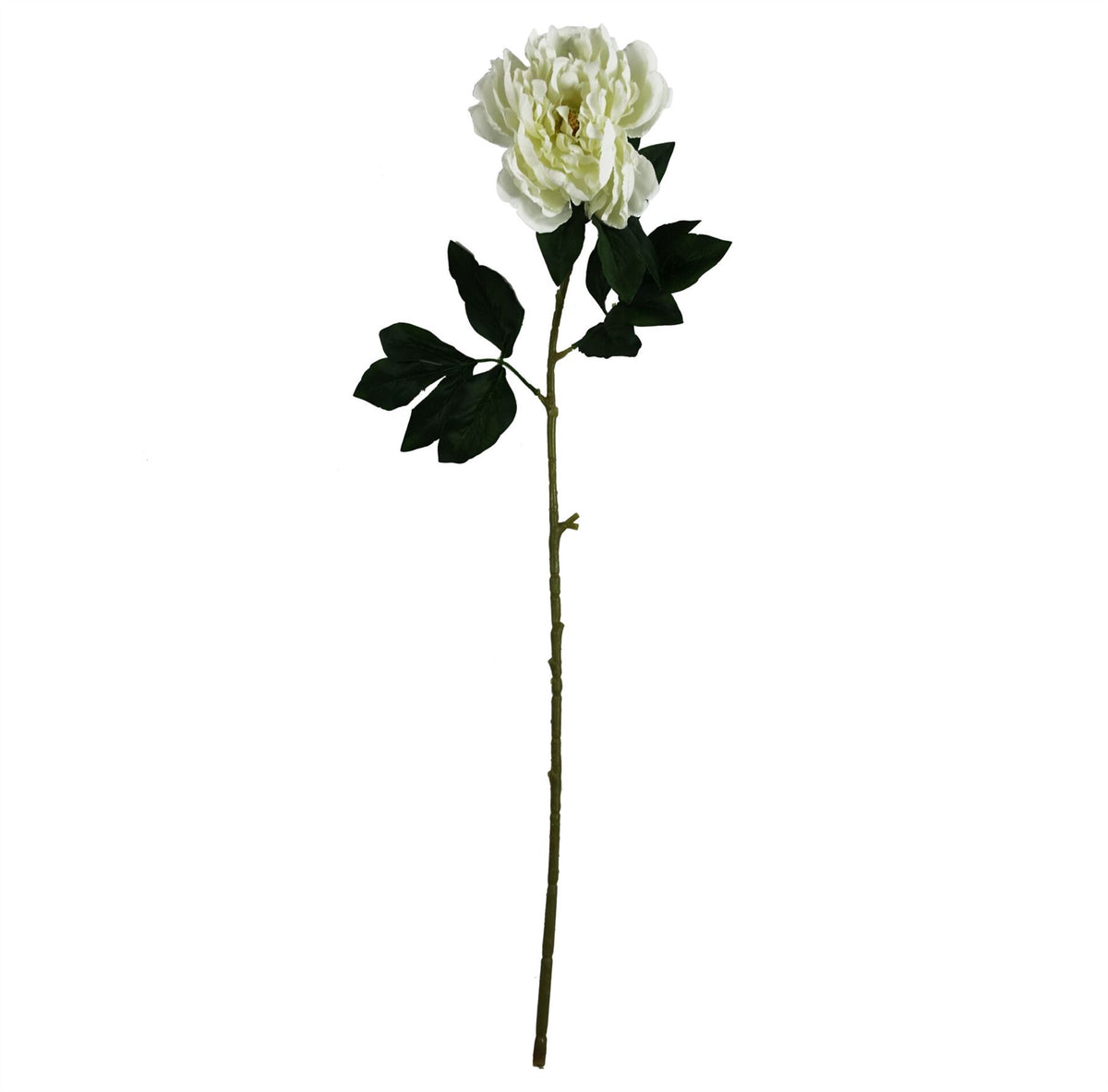 Pack of 6 x 80cm Artificial Cream Peony Stem