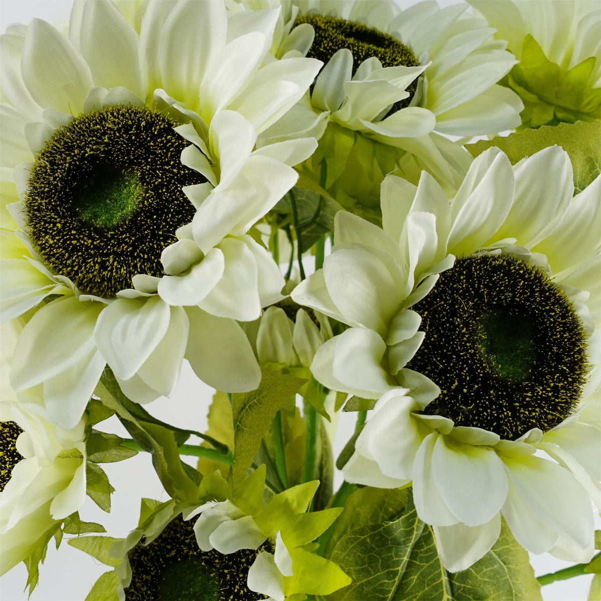 Pack of 6 x 88cm White Artificial Sunflower - 18 heads