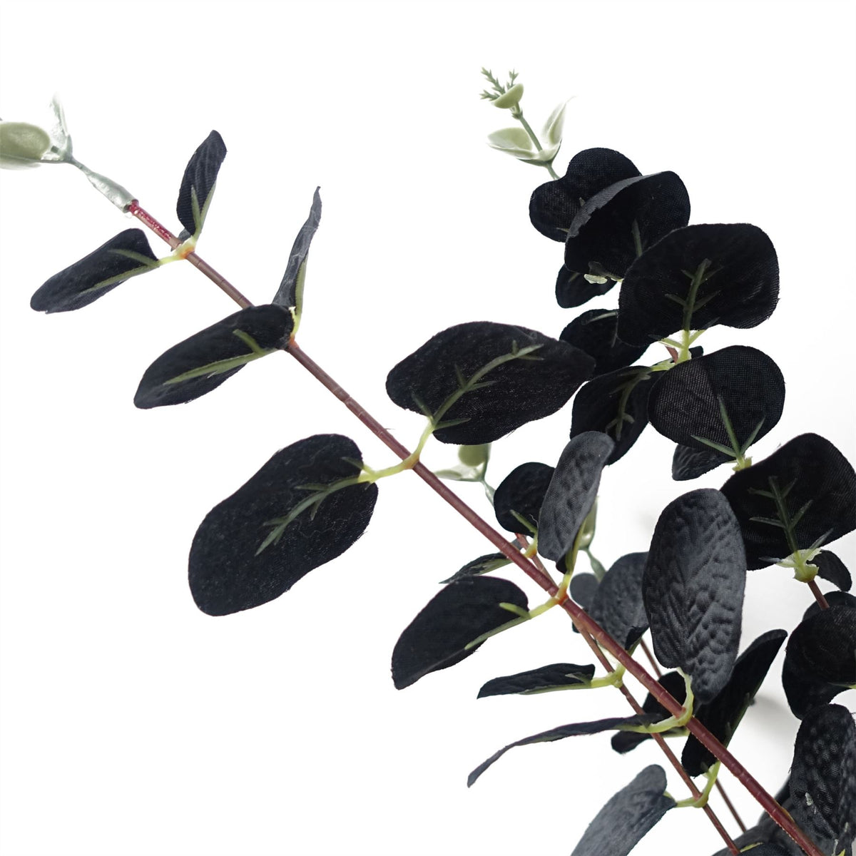 Pack of 6 x 80cm Black Eucalyptus Foliage Stem