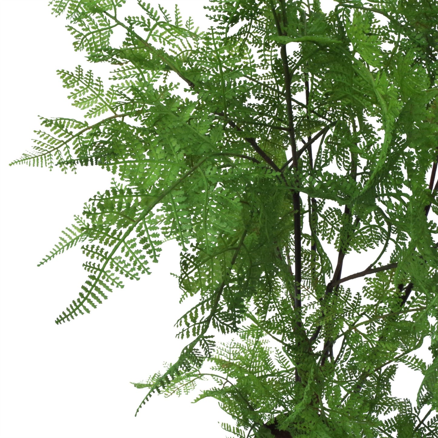 150cm Artificial Moss Base Fern Foliage Plant with Silver Metal Plater