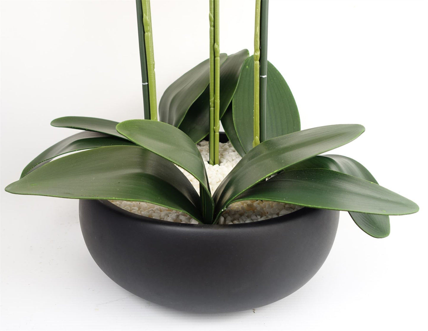 Artificial 60cm Orchid White Black Ceramic Planter