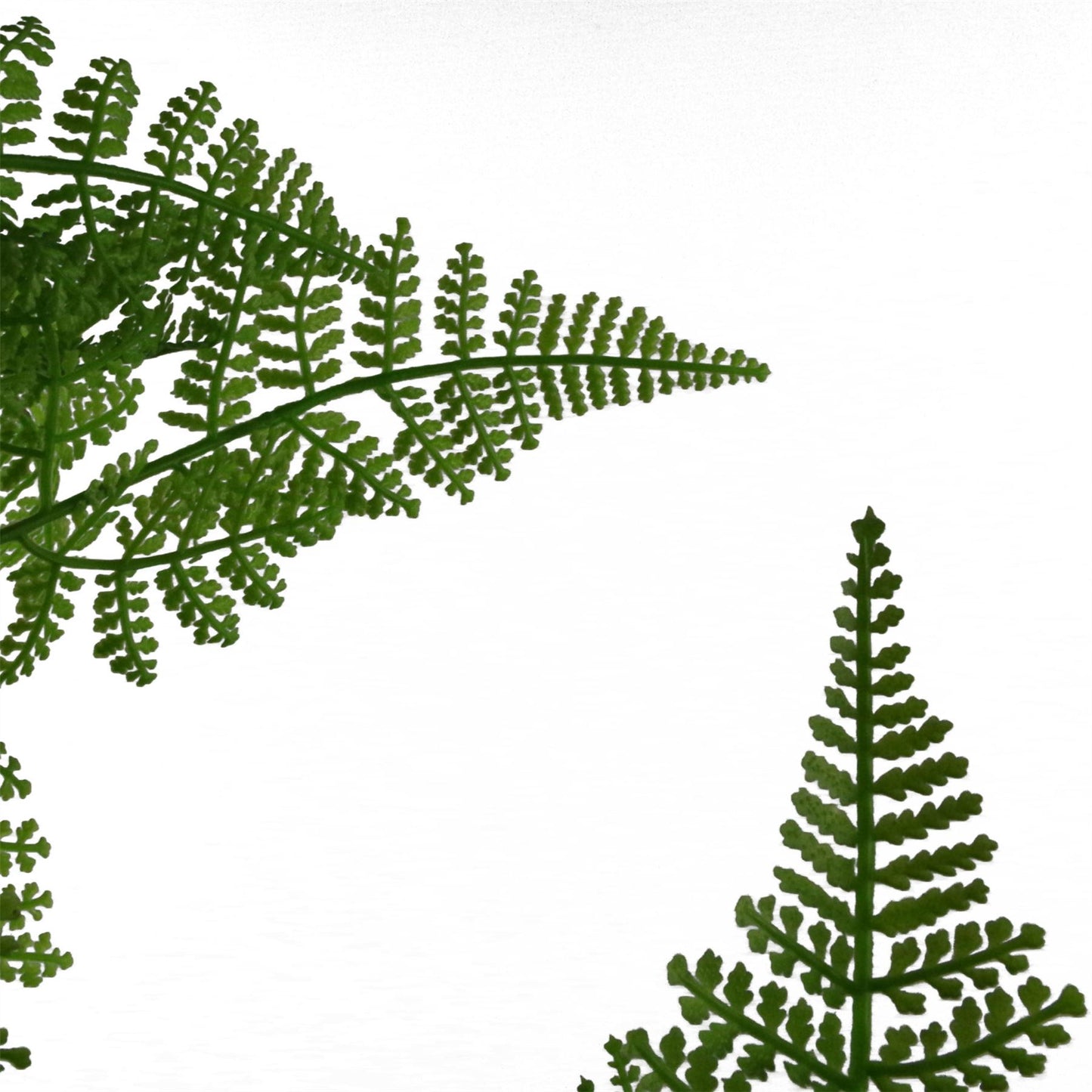 Artificial 150cm Natural Moss Base Fern Foliage Plant