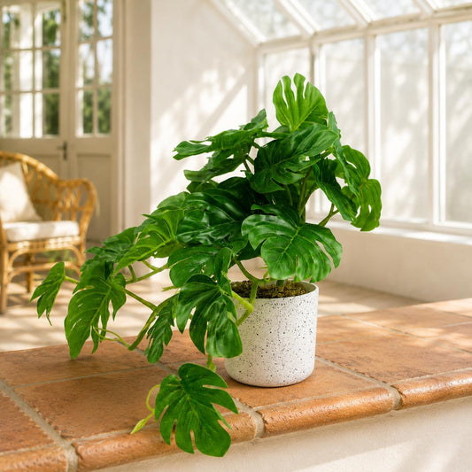 30cm Artificial Green Potted Monstera Trailing Plant – image 6