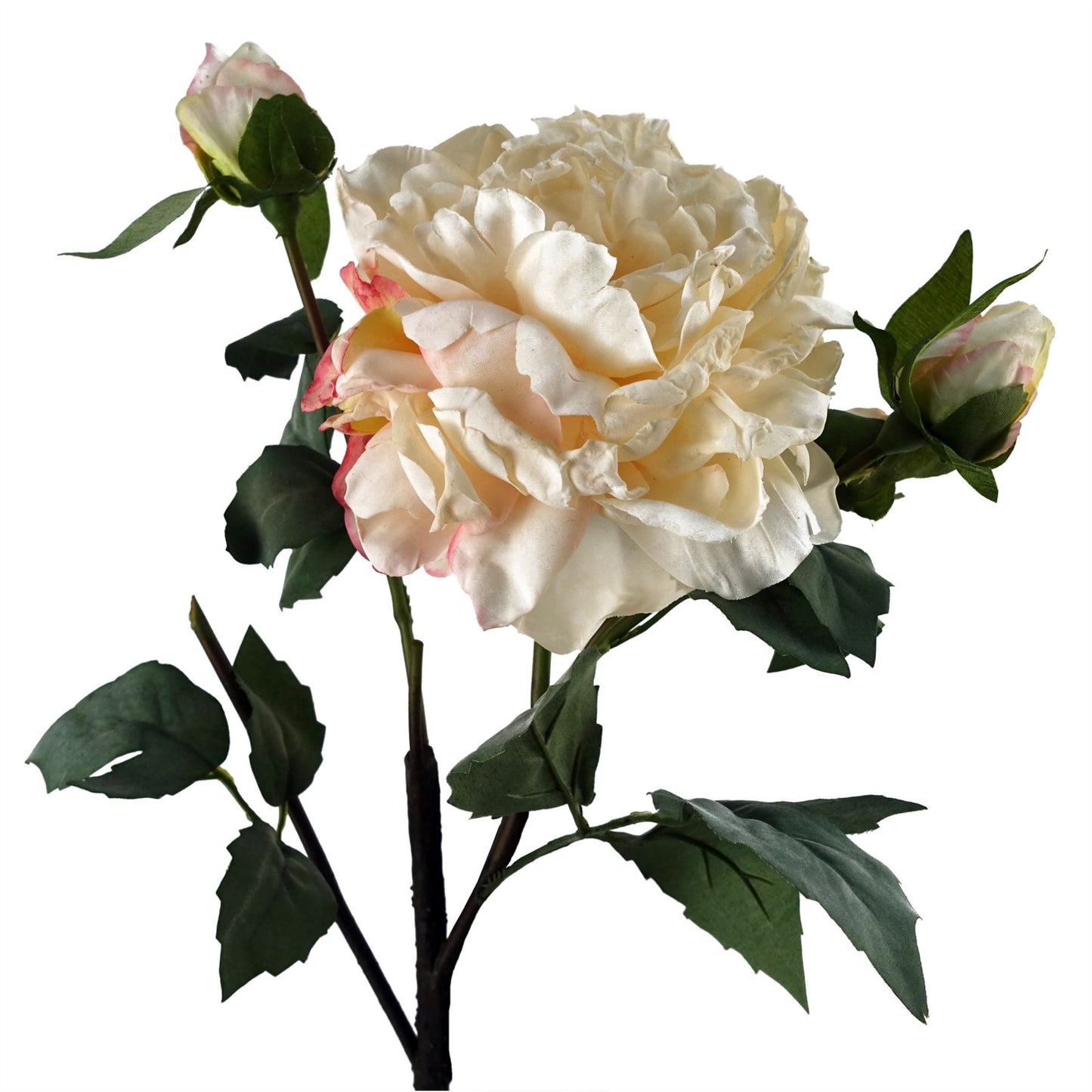 6 x 60cm Peony Artificial Flower Cream 6 flowers 18 buds