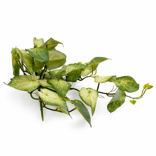 25cm Artificial Trailing Variegated Caladium Vine Plant Light Green – image 2