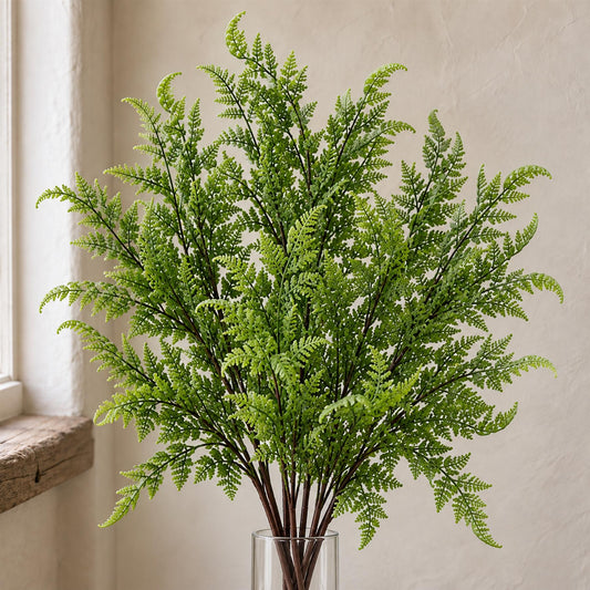 6 x 50cm Southern Wood Fern Bush Dark Green Plant