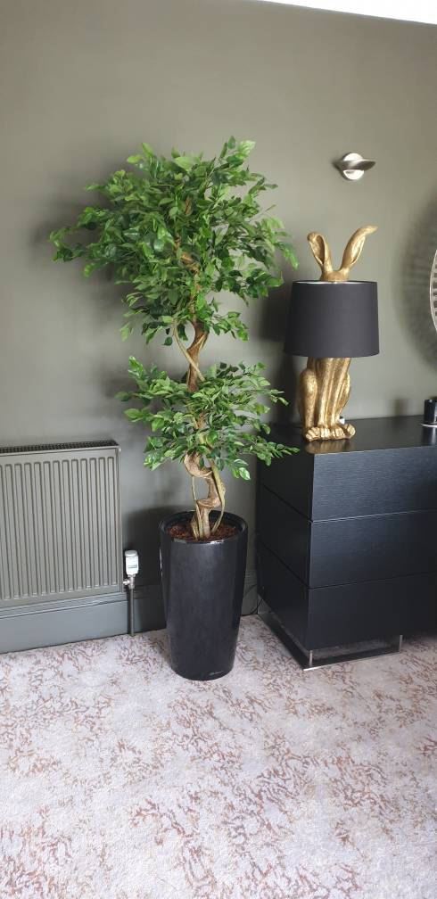 150cm Twisted Trunk Artificial Japanese Fruticosa Style Ficus Tree – image 4