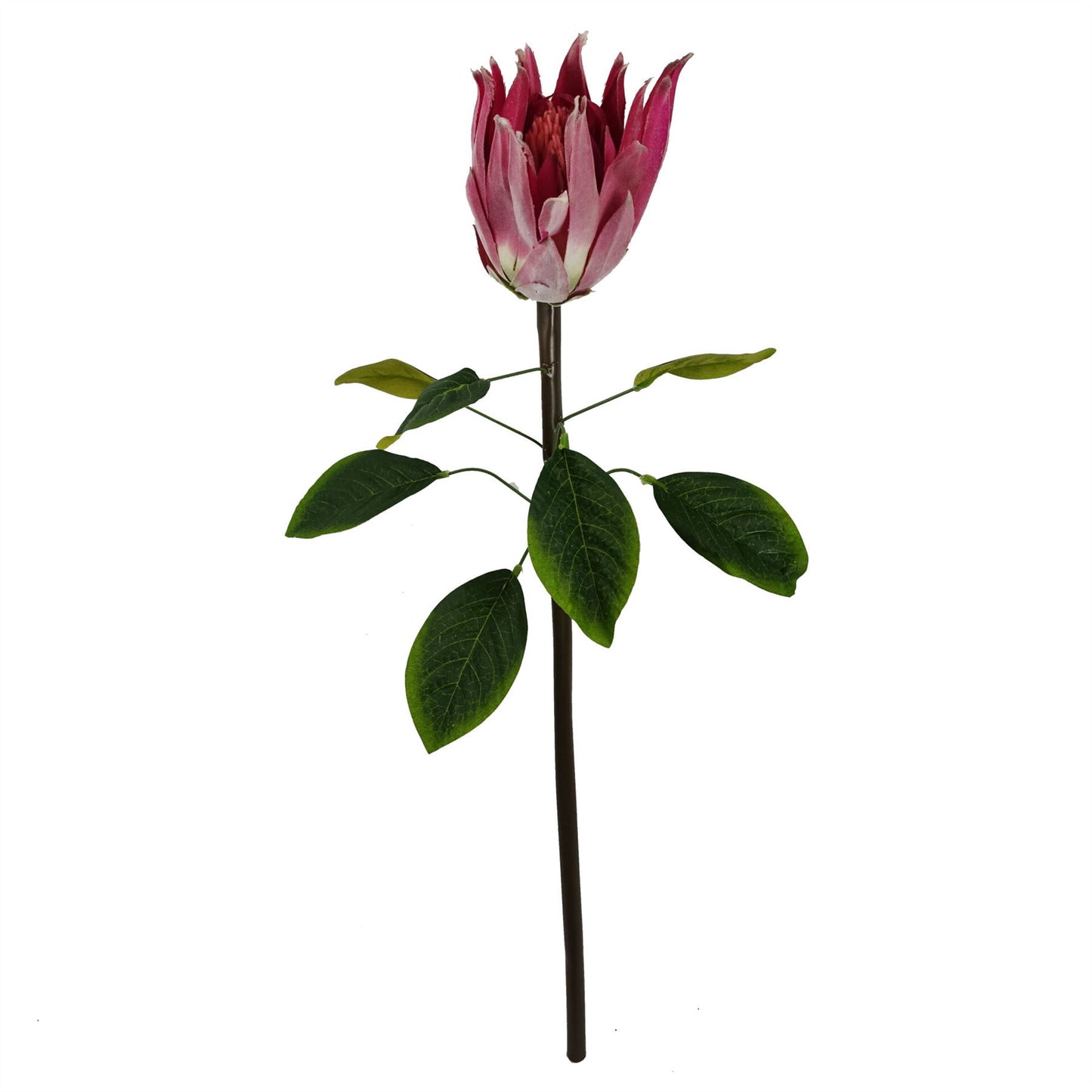65cm Artificial Protea Sugarbush Flower Stem Pink