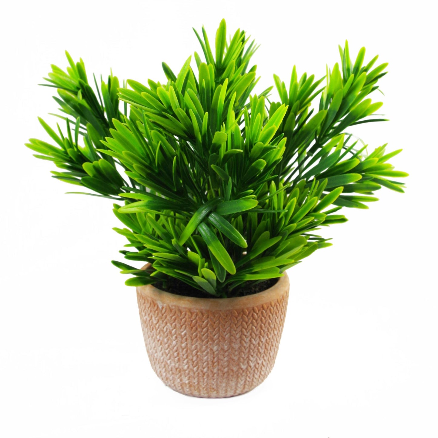 22cm Artificial Honey Plant Dark Green in Terracotta Pot – image 3
