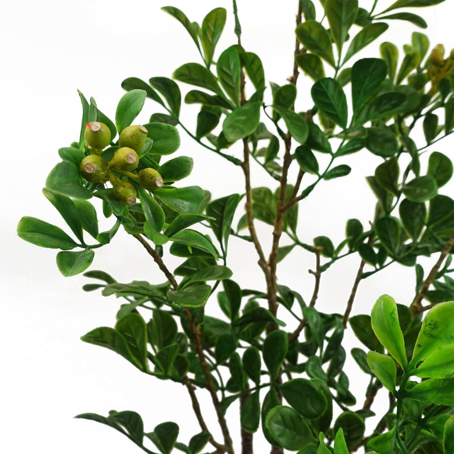 60cm Artificial Aglaia Odorata Bonsai Ficus Tree