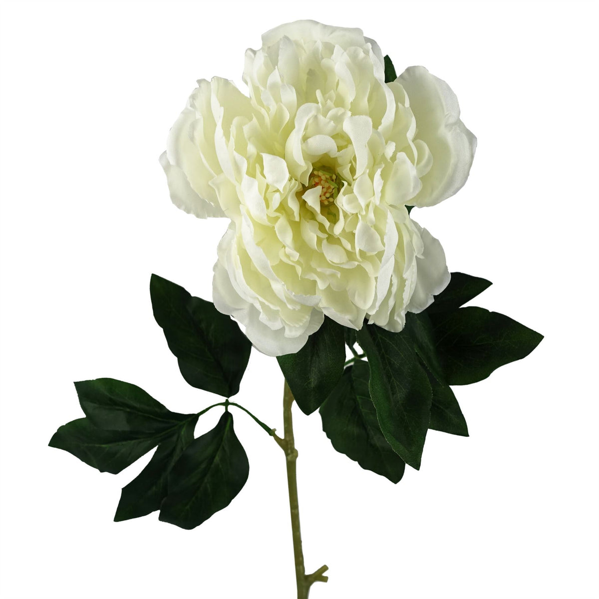 Pack of 6 x 80cm Artificial Cream Peony Stem