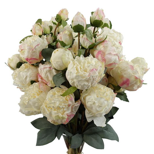 6 x 55cm Cream Peony Artificial Flower Stems 24 flowers 18 buds