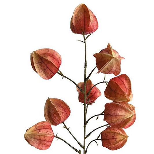 Pack of 6 x 100cm Artificial Orange Chinese Lantern Physalis Sprays