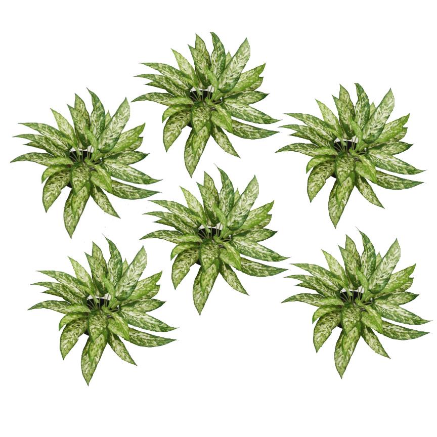 Pack of 6 x 45cm Fire Retardant Artificial Aglaonema Bush