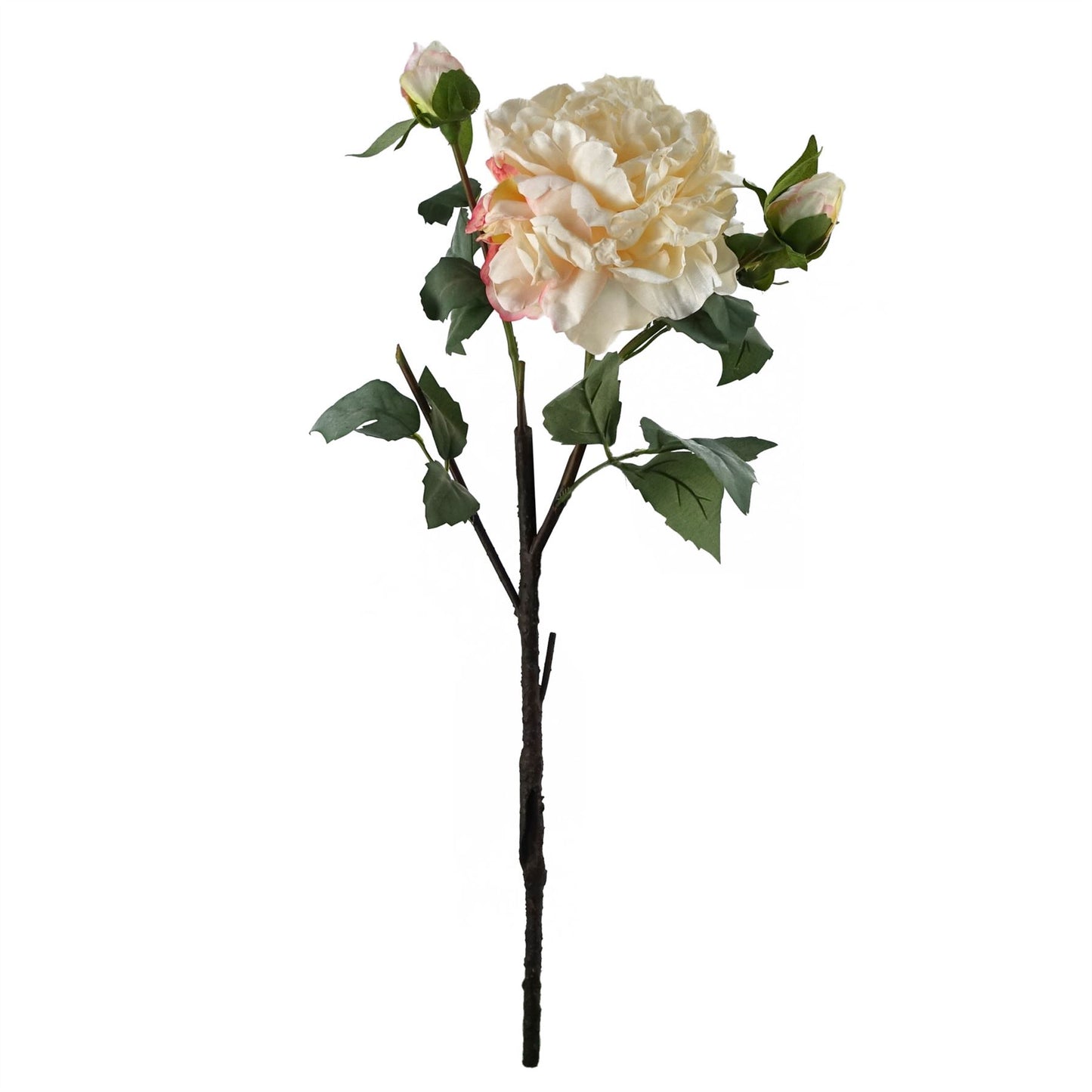 60cm Peony Artificial Flower Cream 1 Flower 3 Buds