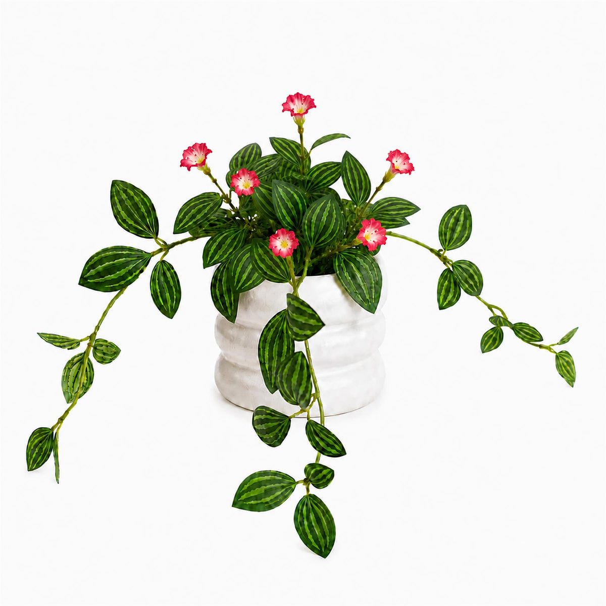 45cm Artificial Trailing Striped Leaf Plant with Pink Flowers in White Pot
