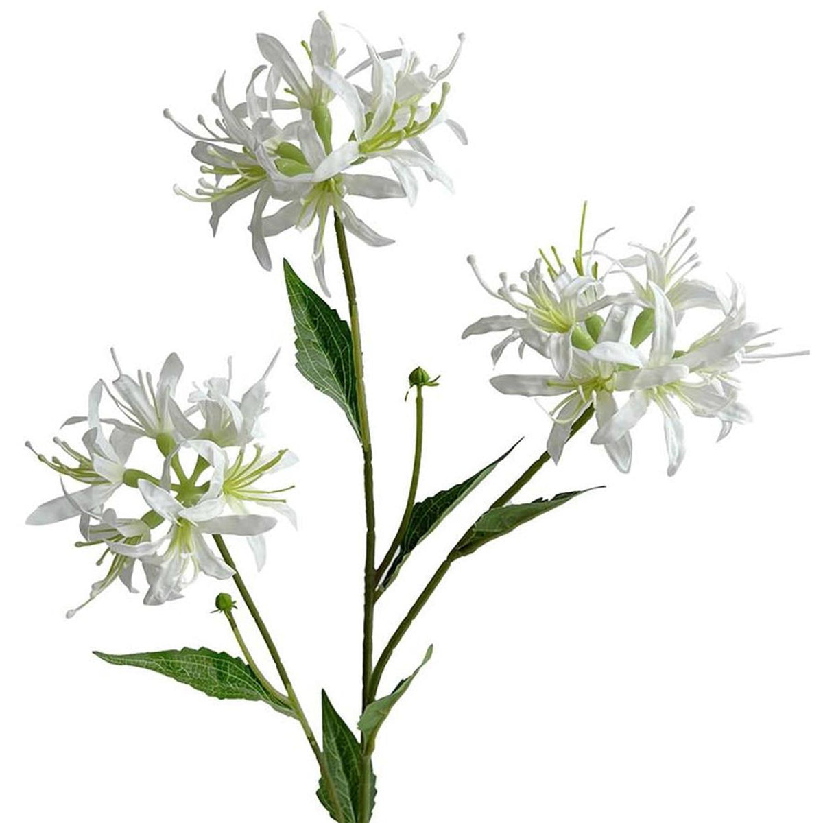 72cm Artificial White Spider Lily Stem
