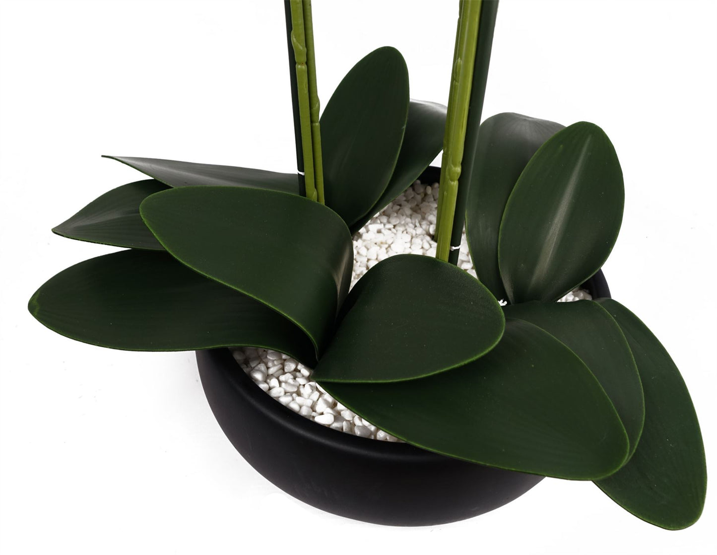 Artificial 60cm Orchid White Black Ceramic Planter